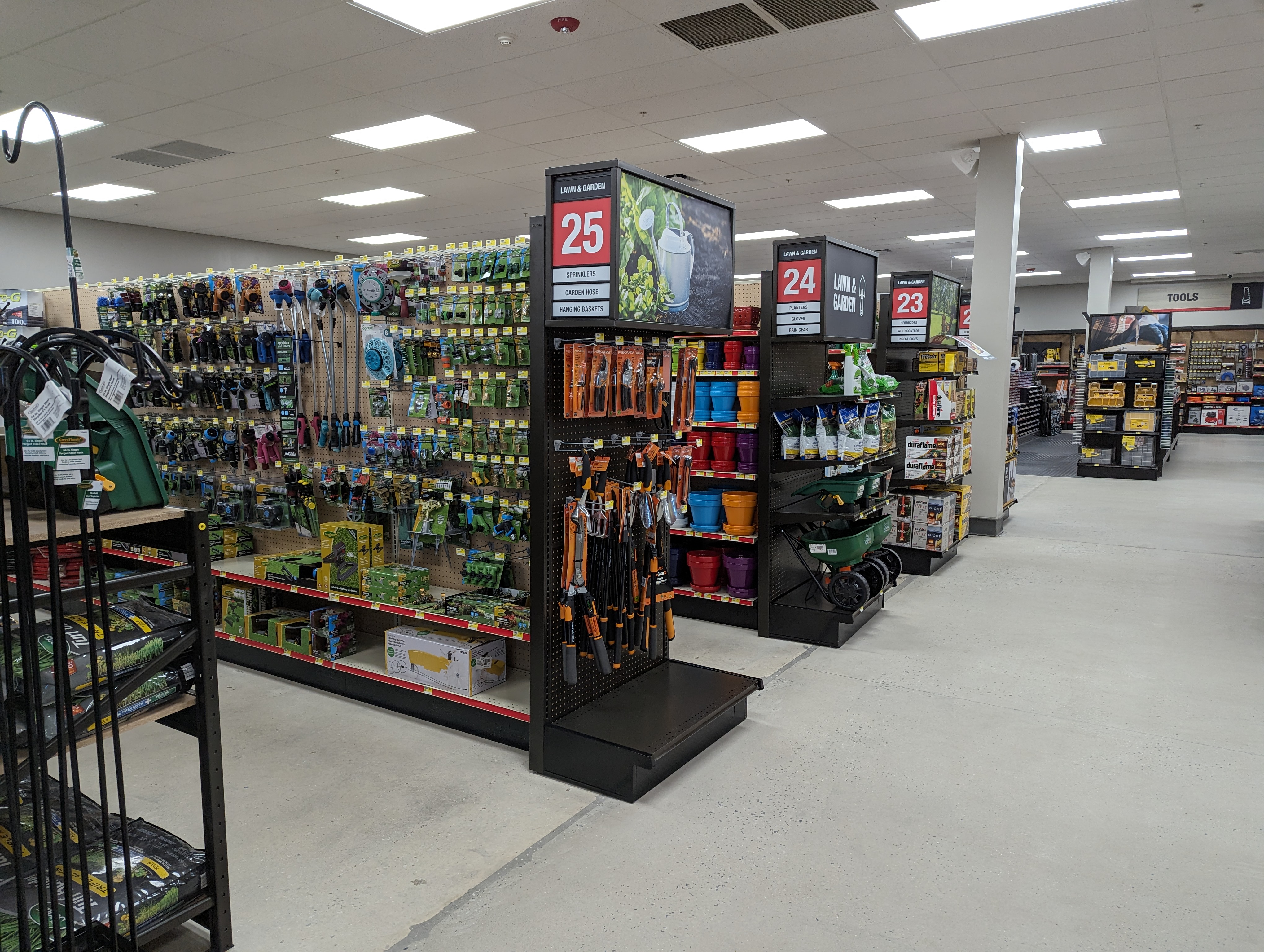 Carp - cape-may-true-value